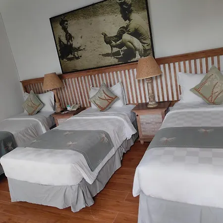 New Pondok Sara Villas-3